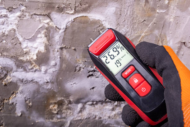 Best Emergency Mold Removal  in Honaunau Napoopoo, HI